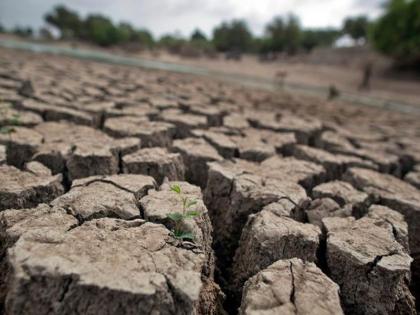 Due to drought in 12 villages in Marathwada | मराठवाड्यात बाराशे गावांवर दुष्काळाचे सावट