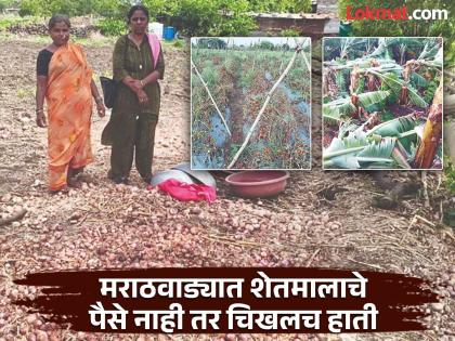 Unseasonal rains hit Marathwada hard; Damage to 11 thousand hectares, slow Panchnama, when will help come? | अवकाळीचा मराठवाड्याला जबर फटका; ११ हजार हेक्टरवर नुकसान, संथ पंचनामे, मदत कधी?