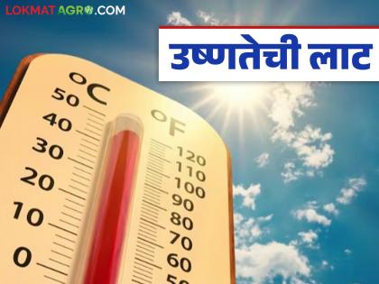 Major impact of anticyclone; Heat wave warning issued in 'these' districts in the state | अँटीसायक्लोनचा मोठा परिणाम; राज्यात 'या' जिल्ह्यांत दिला उष्णतेच्या लाटेचा इशारा Major impact of anticyclone; Heat wave warning issued in 'these' districts in the state | अँटीसायक्लोनचा मोठा परिणाम; राज्यात 'या' जिल्ह्यांत दिला उष्णतेच्या लाटेचा इशारा