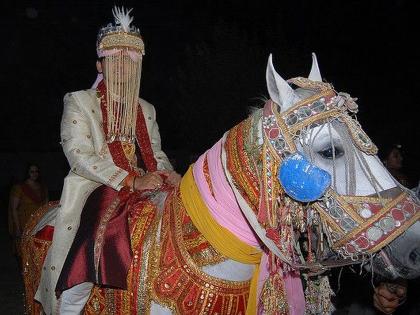 Why does groom sits mare and not horse his marriage, know the reason | लग्नात नवरदेव घोडीवरच का बसतात, घोड्यावर का नाही? जाणून घ्या अजब कारण...