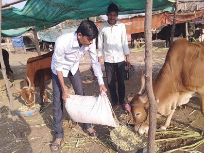 The convict, Sharad Mark, was acquitted by the court | छावणीचालक शरद मरकडची न्यायालयाने केली सुटका