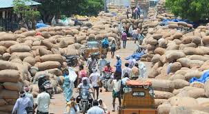 purchase of grains in market committee in the name of non-FAQ | ‘नॉन एफएक्यू’च्या नावाखाली बाजार समितीमधील खरेदी पूर्ववत 