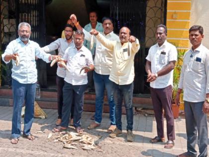 Dead fish thrown at Sangli Municipal Corporation door, Swabhimani Party protest | सांगलीत महापालिकेच्या दारात फेकले मृत मासे, स्वाभिमानी पक्षाचे आंदोलन 