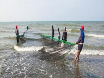 Fishing season in Ratnagiri district from today, concerns due to storm | रत्नागिरी जिल्ह्यात आजपासून मासेमारी हंगाम, वादळामुळे चिंता Fishing season in Ratnagiri district from today, concerns due to storm | रत्नागिरी जिल्ह्यात आजपासून मासेमारी हंगाम, वादळामुळे चिंता