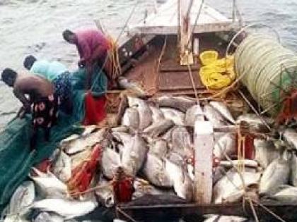 fish production including fishing boats also decreased last year In Ratnagiri district | मत्स्योत्पादन व्यवसायाला घरघर, ३८ हजार मेट्रिक टनांची घट