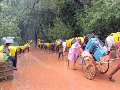 Order to stop the practice of hand rickshaws in Matheran within 6 months | माथेरानमधील हातरिक्षांची प्रथा ६ महिन्यांत बंद करण्याचे आदेश Order to stop the practice of hand rickshaws in Matheran within 6 months | माथेरानमधील हातरिक्षांची प्रथा ६ महिन्यांत बंद करण्याचे आदेश
