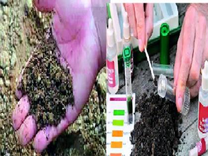 Due to the lack of awareness among the farmers in Kolhapur district about the soil, the quantity of nitrogen has decreased in as many as eight taluka | माती परीक्षण शेतीच्या आरोग्याचा आरसा, कोल्हापूर जिल्ह्यातील जमिनीचा पोत कसा.. जाणून घ्या