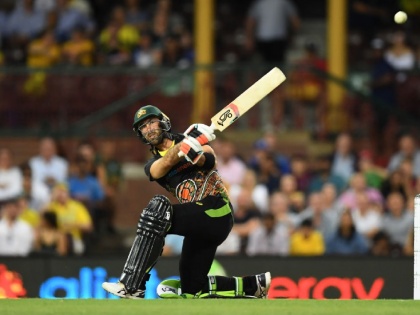 India vs Australia, 3rd T20I: Matthew Wade, Glenn Maxwell's half century; Australia finish at 186-5 | India vs Australia, 3rd T20I : मॅथ्यू वेड, ग्लेन मॅक्सवेलची दमदार फटकेबाजी, टीम इंडियाचे गचाळ क्षेत्ररक्षण