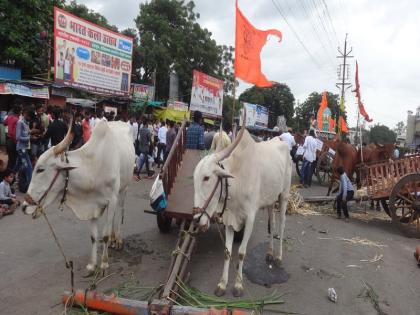 Maharashtra Bandh: Cart on the street in Ambajogai; 21 Young Mouth | Maharashtra Bandh : अंबाजोगाईत बैलगाडया रस्त्यावर; २१ तरुणांचे मुंडन