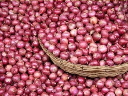 The price of onion is Rs. 20; Onion growers in crisis | कांद्याला हवा २० रुपये भाव; कांदा उत्पादक संकटात