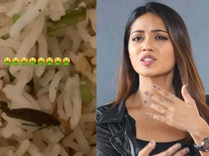 Nivetha Pethuraj finds cockroach in food, Swiggy takes Chennai restaurant off app | SHOCKING ! अभिनेत्री निवेथाने ऑनलाईन ऑर्डर केलं जेवण, भातात सापडलं झुरळ