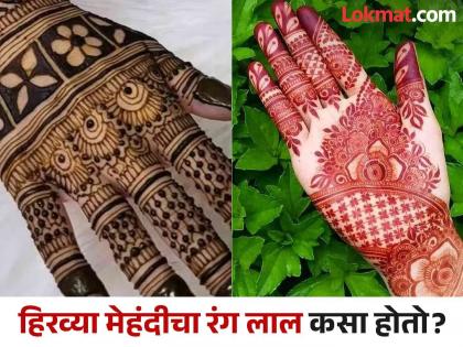 Why does color of mehendi turn red on hands? you should know the reason | हिरव्या मेहंदीचा रंग हातांवर लाल कसा होतो? तुम्हालाही माहीत नसेल कारण...