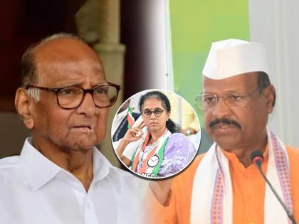  Mehbub Shaikh criticized Agriculture Minister Abdul Sattar's abuse of MP Supriya Sule  | "दहा पक्ष आणि दहा बाप बदलणारी ही सरड्याची...", सत्तारांविरोधात राष्ट्रवादी आक्रमक 