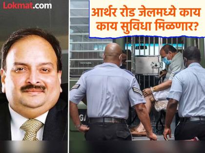 PNB Bank Scam: Will be provided clean water and toilets in jail to Mehul Choksi; India has given a list of 14 facilities to Belgium Government for extradited to India | मेहुल चोक्सीला जेलमध्ये स्वच्छ पाणी अन् टॉयलेट देणार; भारताने बेल्जियमला दिली १४ सुविधांची यादी PNB Bank Scam: Will be provided clean water and toilets in jail to Mehul Choksi; India has given a list of 14 facilities to Belgium Government for extradited to India | मेहुल चोक्सीला जेलमध्ये स्वच्छ पाणी अन् टॉयलेट देणार; भारताने बेल्जियमला दिली १४ सुविधांची यादी