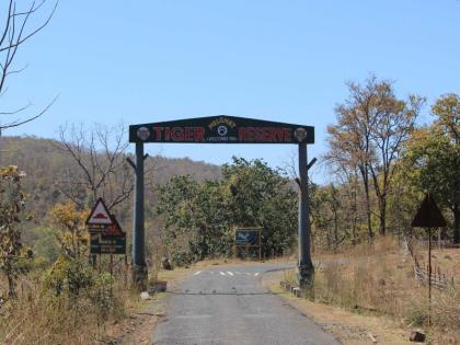 A meeting on tribal issues relating to the rehabilitation of the Melghat Tiger Project, the expectation of satisfactory decision. | मेळघाट व्याघ्र प्रकल्पातून पुनर्वसित झालेल्या आदिवासींच्या समस्यांबाबत सोमवारी बैठक, समाधानकारक निर्णयाची अपेक्षा