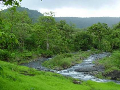 Parks will be transformed; Little ones will squeal with joy; Plantation of 42,800 trees | उद्यानांचे रूपडे पालटणार; चिमुकले आनंदाने हुंदडणार; ४२,८०० वृक्षांची लागवड