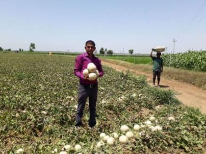 Seventh standard pass farmer has earned Rs 21 lakh in two months ... See how he did! | सातवी पास शेतकऱ्यानं दोन महिन्यात कमावले 21 लाख रुपये... बघा कशी केली ही किमया!