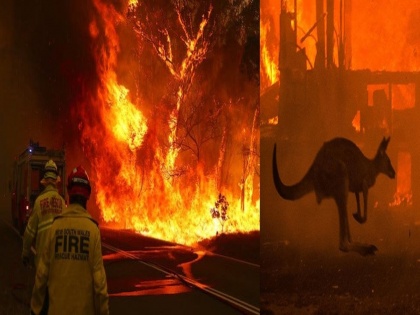 Australia Fire: Contemporary Bollywood for Australian forests; Anxiety expressed by Bhumi, Kunal, Malaika and Daya | Australia Fire: ऑस्ट्रेलियाच्या जंगलासाठी एकवटले बॉलिवूड; भूमी, कुणाल, मलायका व दियाने व्यक्त केली चिंता