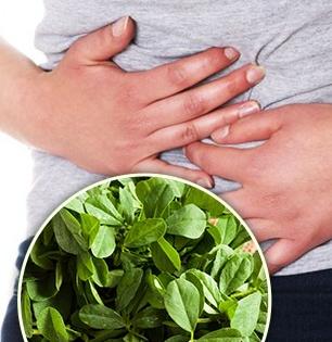 भाजीत भाजी मेथीची पण काही माणसांसाठी ती ठरते जीवघेणी-इतकी बिघडते तब्येत की रवानगी थेट दवाखान्यात..