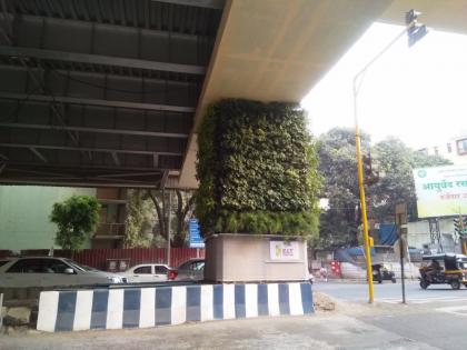 flower trays in the space between the two pillars of the pune metro bridge | Pune Metro: पुणे मेट्रो पुलाच्या दोन खांबांमधील जागेत फुलणार फुलांचे ताटवे