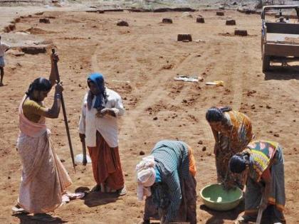 Approval of 35,000 MGNREGA works in the state | राज्यात मनरेगाच्या ३५ हजार कामांना मंजुरी