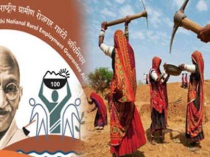 Appointment of ten squad to investigate MGNREGA work in Patur taluka! | पातूर तालुक्यातील रोहयो कामांच्या तपासणीसाठी दहा पथकांची नियुक्ती!