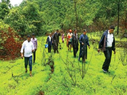 In the bavale village near the foot of Raigad fort, the agricultural land fell apart | रायगड किल्ल्याच्या पायथ्याजवळ असलेल्या गावात शेतजमिनीला पडल्या भेगा 