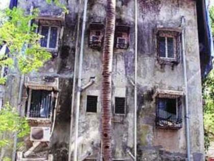 Residents of 96 highly dangerous buildings of MHADA will get monthly rent | Mumbai: म्हाडाच्या ९६ अतिधोकादायक इमारतींतील रहिवाशांना महिन्याला भाडे मिळणार! Residents of 96 highly dangerous buildings of MHADA will get monthly rent | Mumbai: म्हाडाच्या ९६ अतिधोकादायक इमारतींतील रहिवाशांना महिन्याला भाडे मिळणार!