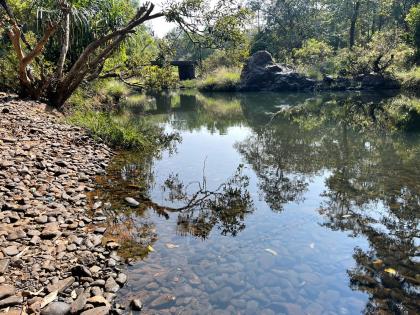 in goa no mhadei no water no wali for the public | म्हादई नाही, पाणी नाही, जनतेला वालीही नाही