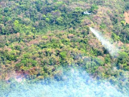 mhadei sanctuary fire extinguishing forest department is exhausted due to new wildfires | म्हादई अभयारण्यातील आग विझता विझेना; नव्याने वणवा पेटल्याने वनखात्याची दमछाक