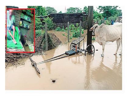 Heavy rains hit 54 villages in arvi tehsil, affected 265 families, damaged 35 house and 8 cowsheds | आर्वी तालुक्यात ५४ गावांना अतिवृष्टीचा फटका, २६५ कुटुंब बाधित, ३५ घरांचे नुकसान