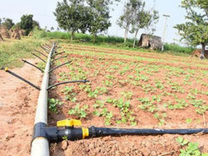 Micro Irrigation grant of Rs 13 crore pending | सूक्ष्म सिंचनाचे १३ कोटींचे अनुदान रखडले