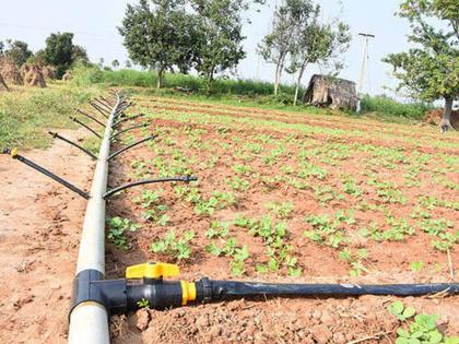 Purchase of micro irrigation set at three times the market price | बाजारभावापेक्षा तिप्पट भावात सुक्ष्म सिंचन संचाची खरेदी