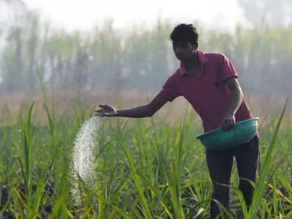 Central government to stop production of mixed fertilizer, pressure from private companies | ‘मिश्र’ खताचे उत्पादन बंद करण्याचा केंद्र सरकारचा घाट, खासगी कंपन्यांचा दबाव