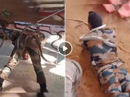 Indian army jawan training with snake in commando school watch viral video | भारतीय जवानांचा सापांसोबत ट्रेनिंगचा खतरनाक व्हिडीओ, बघून अंगावर येईल शहारे!