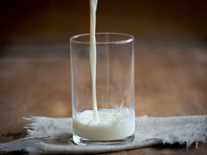 Food and Drug Administration conducts 258 raids in four months to prevent milk adulteration | दूध भेसळ रोखण्यासाठी चार महिन्यांत अन्न व औषध प्रशासनाचे २५८ छापे Food and Drug Administration conducts 258 raids in four months to prevent milk adulteration | दूध भेसळ रोखण्यासाठी चार महिन्यांत अन्न व औषध प्रशासनाचे २५८ छापे