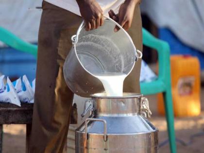 8,497 liters of adulteration milk seized in Baramati; Food and Drug Administration action | बारामतीत ८ हजार ४९७ लिटर भेसळयुक्त दूध जप्त; अन्न आणि औषध प्रशासनाची कारवाई