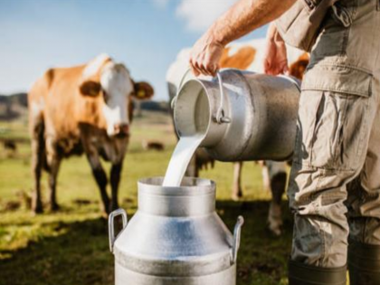 Cows giving 50 liters of milk will be produced through IVF, center started in Chhatrapati Sambhajinagar | ‘आयव्हीएफ’द्वारे तयार होतील ५० लीटर दूध देणाऱ्या गायी, छत्रपती संभाजीनगरमध्ये सेंटर सुरू