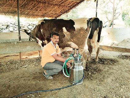 The young farmer has achieved financial progress in a short span of milk business | दुग्ध व्यवसायातून युवा शेतकऱ्याने अल्पावधीतच साधली आर्थिक प्रगती