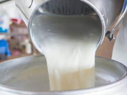 Milk collection in Buldana district declined | बुलडाणा जिल्ह्यातील दूध संकलनात झाली घट