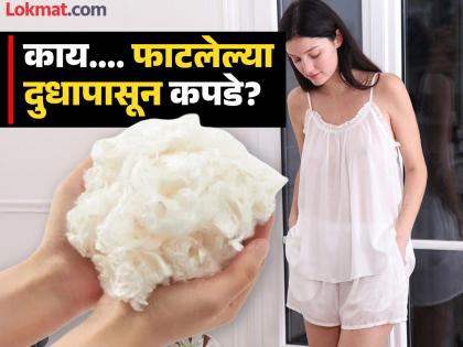 नासलेल्या दुधापासून पनीर नाही तर बनवले जात आहेत कपडे, पाहा किती असते किंमत आणि कसे बनवतात!