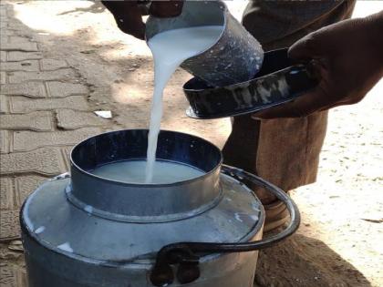 Inaccuracy in measuring milk, Orders to install electronic forks | दूध मापनात अचुकता येणार, इलेक्ट्रॉनिक काटे बसवण्याचे आदेश