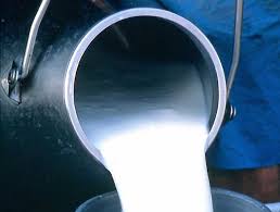 Milk supply to Bhandara from akola dairy | अकोल्यात भुकटी प्रकल्प असताना भंडाऱ्याला दुधाचा पुरवठा!