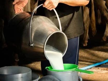 Milk rate hike ordered by government in dust bin; Purchase of milk at old price in July  | दूध संघांकडून सरकारच्या आदेशाला केराची टोपली; जुलैमध्ये जुन्याच दराने दूध खरेदी 