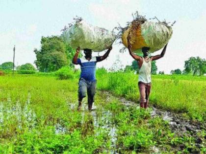 Increase in minimum wages for agricultural labourers Decision of Central Govt | शेतमजूर, कामगारांच्या किमान वेतनात वाढ; केंद्र सरकारचा निर्णय