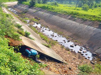 Half of the minor project in Buldhana district dried up | बुलडाणा जिल्ह्यातील निम्मे लघू प्रकल्प कोरडे