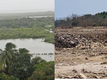 The destruction of the city's natural defenses has caused suffering to citizens. | शहराची नैसर्गिक कवचकुंडलेच नष्ट केल्याने नागरिकांचे हाल 