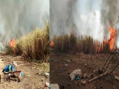 Two hundred acres of sugarcane on fire in Miraj taluka | मिरज तालुक्यातील ढवळीत दोनशे एकर ऊस जळून खाक, कोट्यावधीचे नुकसान