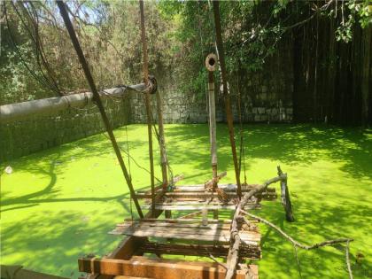 Miraj Haiderkhan well which quenches the thirst of Laturkars, has become a puddle the historical monument will become extinct | लातूरकरांचीही तहान भागविणारी मिरजेची हैदरखान विहीर बनली डबके, ऐतिहासिक वास्तू होणार नामशेष