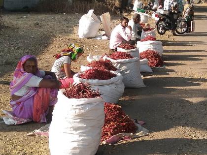 Chili kadali in Gadhinglaj market | गडहिंग्लज बाजारात मिरची कडाडली